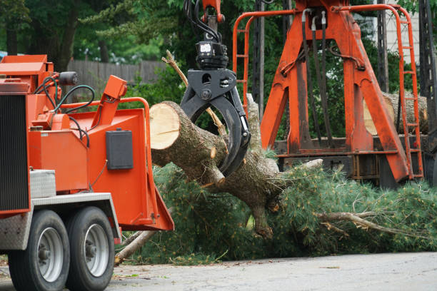 Best Lawn Mowing  in Crane, TX